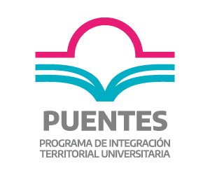 PROGRAMA PUENTES