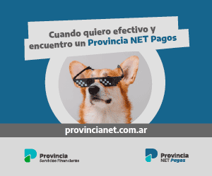 NET JUNIO