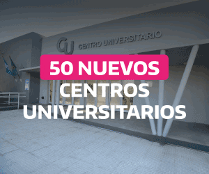 PROGRAMA PUENTES