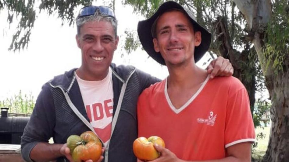 En "El Despertar" están....del tomate 