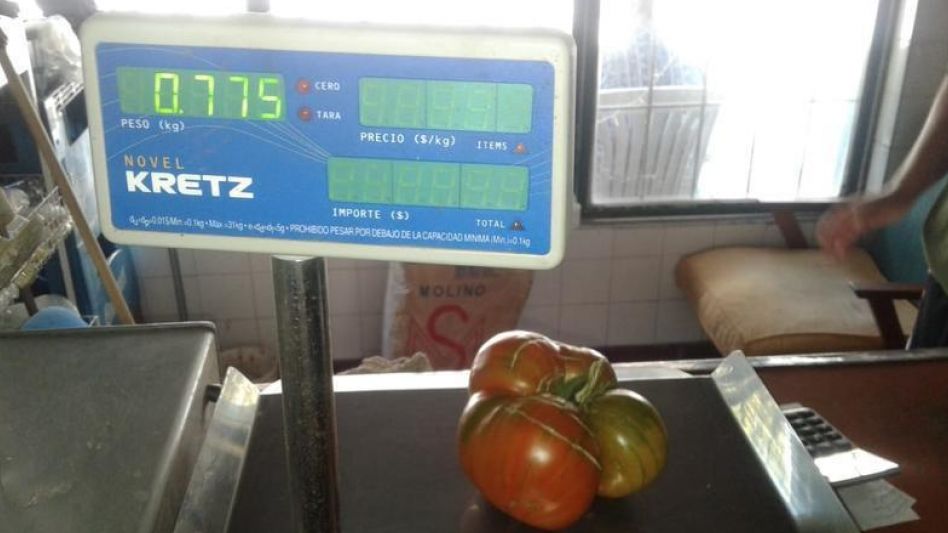 En "El Despertar" están....del tomate 
