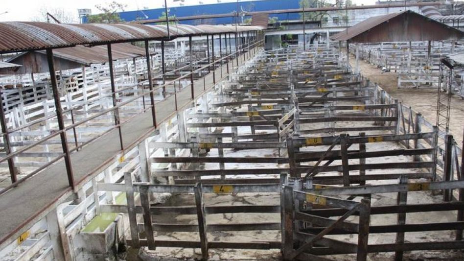 8612 El cese de comercialización impactó fuerte en Mataderos.