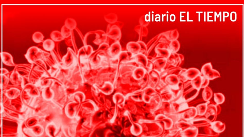 Coronavirus: 1628 positivos y 53 fallecidos