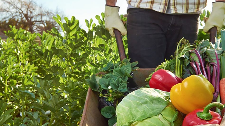 La Unión de Pequeños Agricultores de España reivindicó el valor de la agricultura familiar para preservar las salud. 