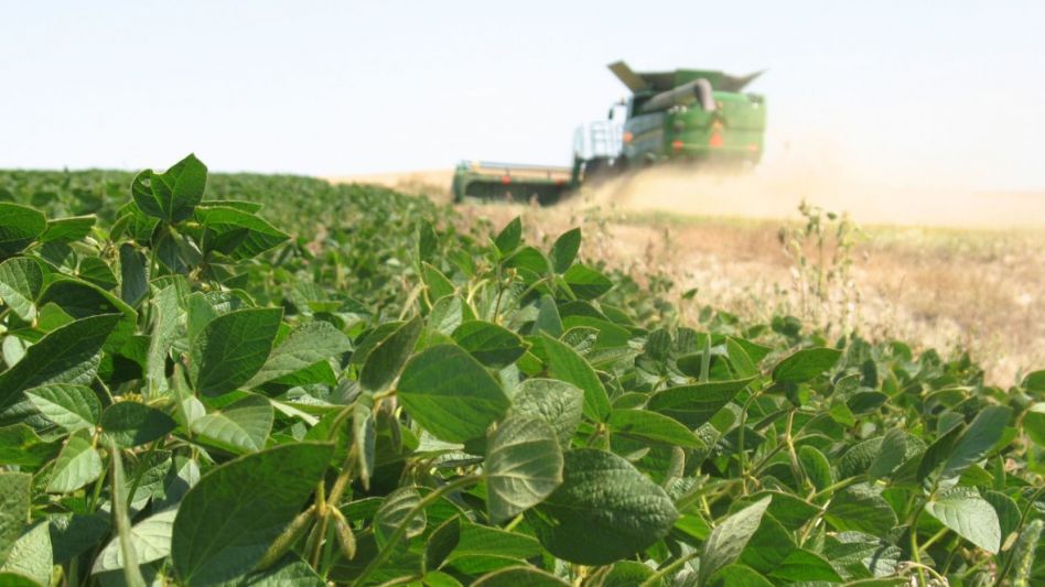 El cultivo de soja en el NOA estÁ en riesgo por el clima