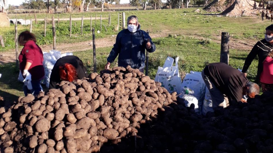 Donación de papas para el Plenario