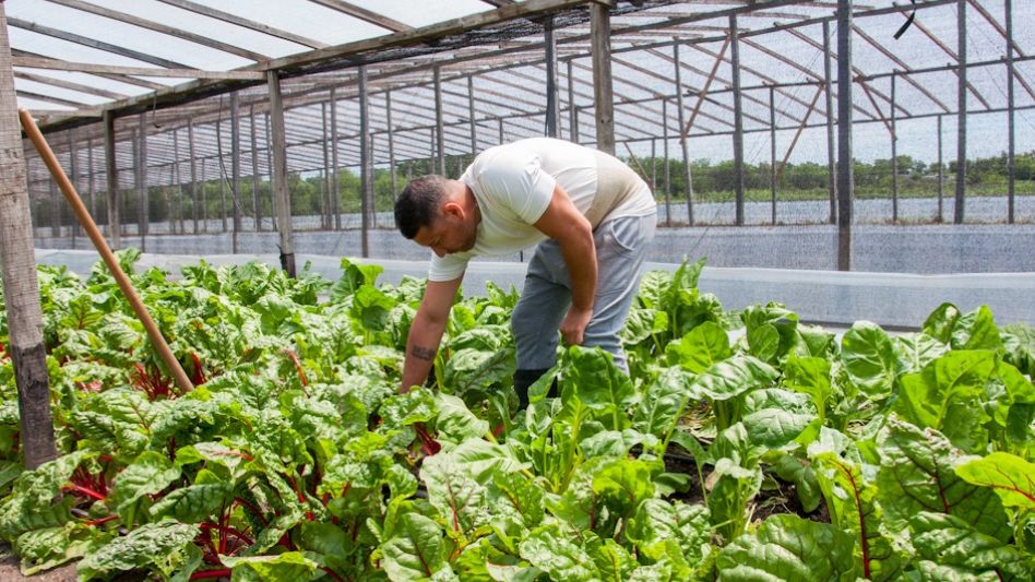 Presos bonaerenses donan a comedores 140 kilos de verduras cosechadas en un penal