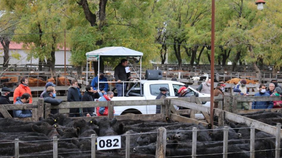 Los conjuntos Marca líquida que hicieron punta en Néstor I. Goenaga y Cía., y llegaron a $120,55