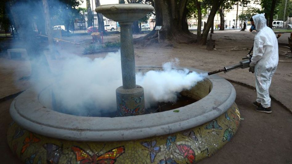 El dengue en la provincia de Buenos Aires, con cifras récord. (Archivo)