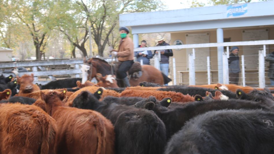 Los lotes marca líquida que se impusieron en la pista olavarriense.