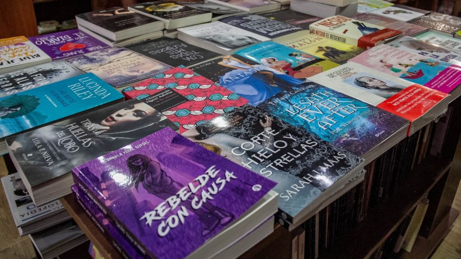 Los libros, uno de los artículos más buscados para los niños y adultos. ANGIE DÍAZ JACQUOT