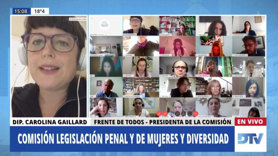 Diputados analizó proyectos sobre justicia penal y género con especialistas