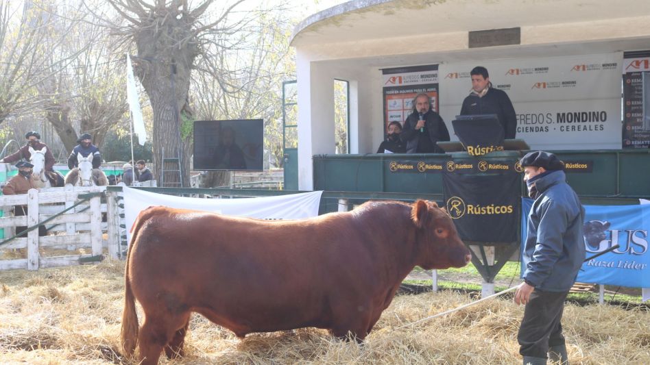 Sergio Amuchategui y Roberto Mondino con la cabeza de los Rústicos en la pista de la rural tandilense. 