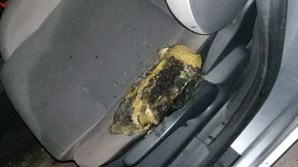 Entraron a robar en una casa