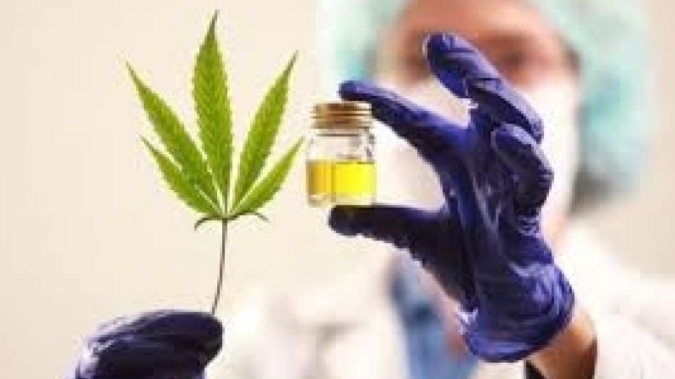 Charla sobre uso terapéutico del cannabis