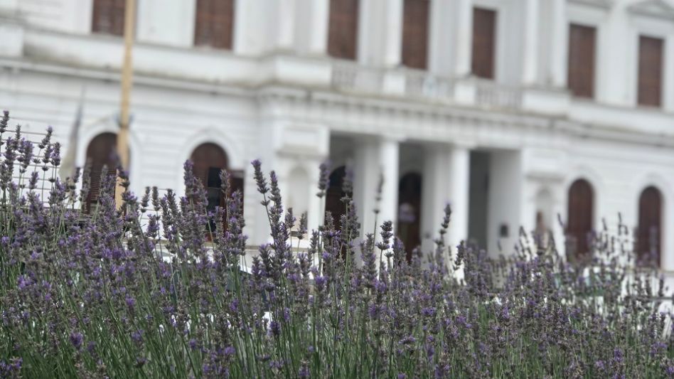 Las consultas se pueden realizar al ?El Club de la Lavanda? en Facebook, Instagram y You Tube.