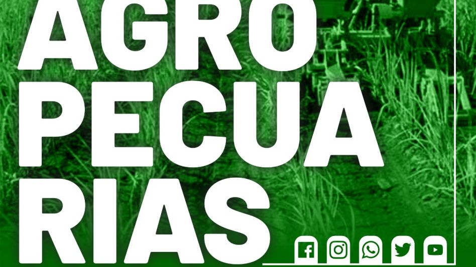 La situación del Carbunclo Rural en la Argentina 2019