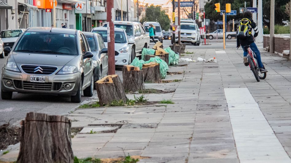 La vereda de la calle Burgos entre Irigoyen y Belgrano ya no cuenta con los viejos acacios y en su lugar se plantarán nuevas especies de árboles. ANGIE DÍAZ JACQUOT