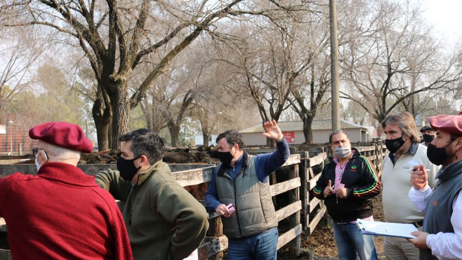 Diversos operadores y números firmes para la faena en Olavarría.