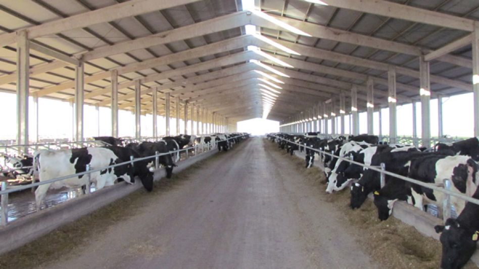 Los tambos estabulados mejoraron 30% su productividad 