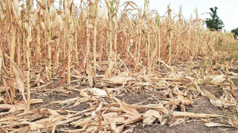 La incertidumbre que genera entre los productores la falta de humedad en los perfiles del suelo de una importante franja de la zona núcleo para arrancar con la siembra de la cosecha gruesa para la cam