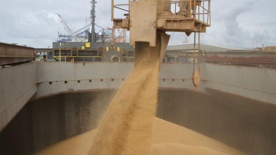 Abren el registro de empresas para  exportar cebada, soja, maíz y sorgo 