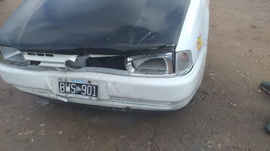  Otro caballo suelto provocó un accidente de tránsito 