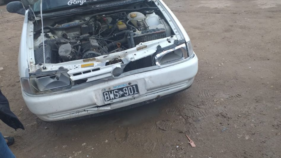  Otro caballo suelto provocó un accidente de tránsito 