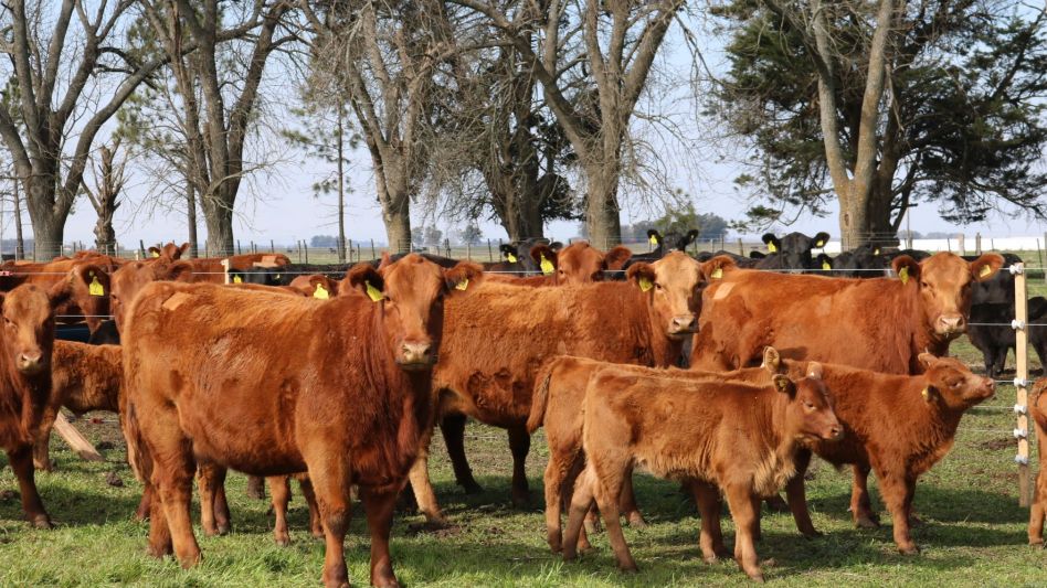 Hasta $140.000 por las paridas PC y un promedio de $127.152 por las 158 madres.