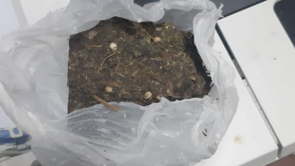 Arrestaron a una adolescente de 17 años