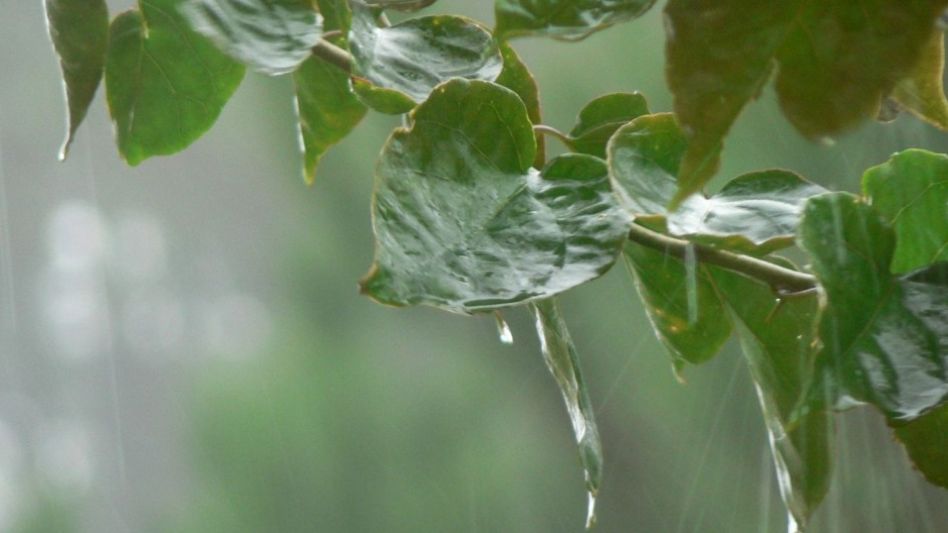 El Instituto de Clima y Agua del INTA Castelar emitió un informe meteorológico en el cual se pronostican lluvias abundantes desde mañana jueves. 