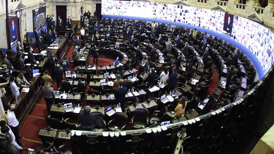 Escándalo en el Congreso: escena sexual de un diputado en pleno debate virtual