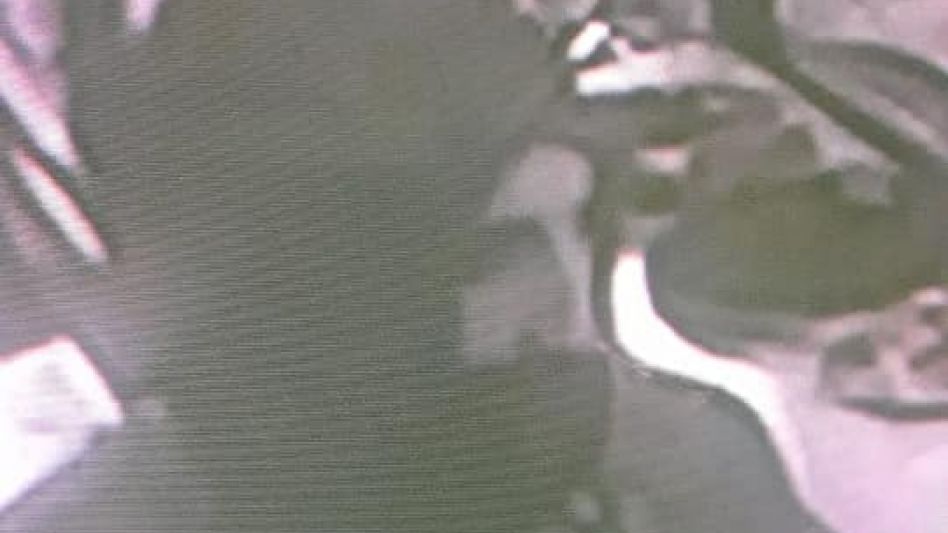 Hubo dos aprehendidos por un robo en una panadería