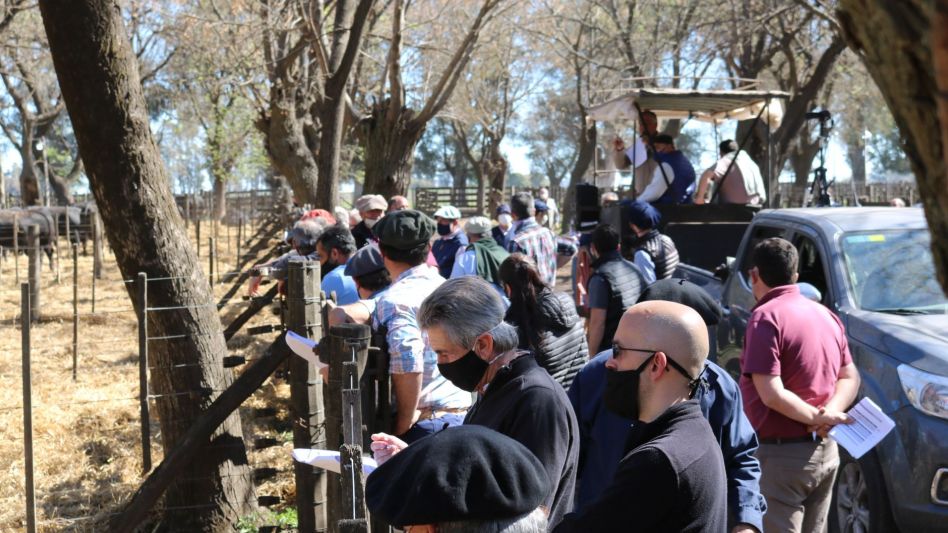 Demanda e Interés por toda la producción de La Cassina en Cacharí.