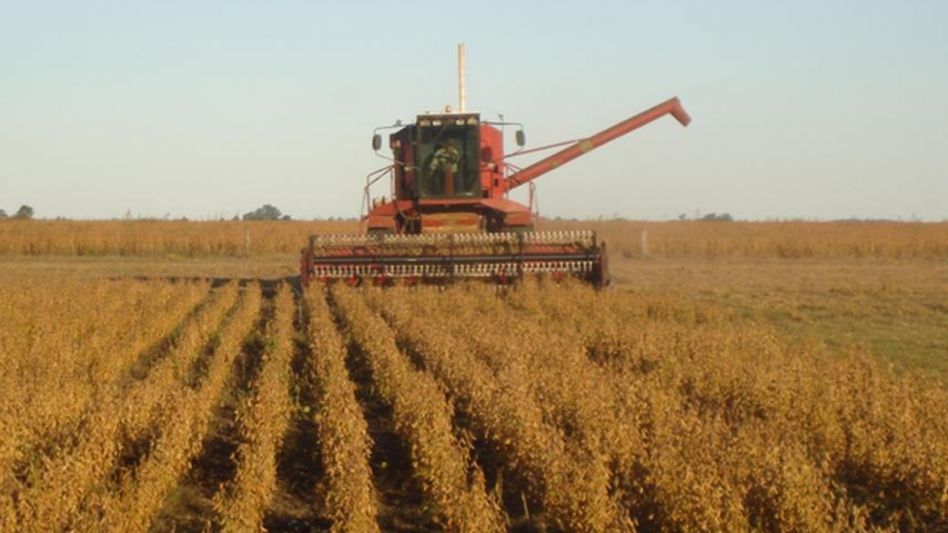 Rodríguez: "El desarrollo de Buenos Aires involucra el desarrollo del sector agropecuario"