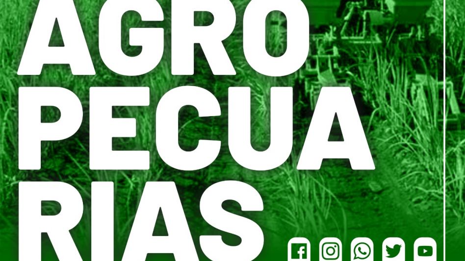 Robo de semillas de un campo cordobés