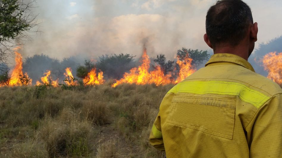 Qué dice el proyecto para restringir el uso de tierras afectadas por los incendios