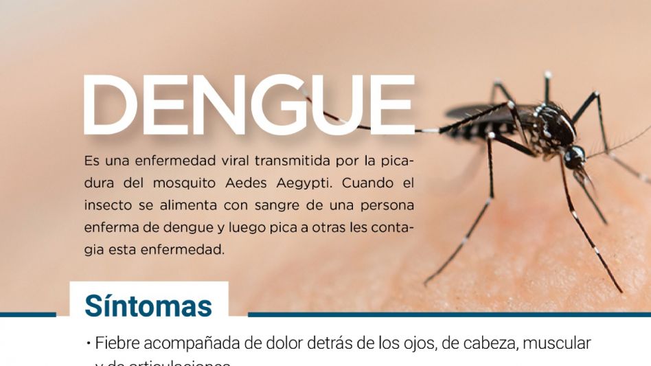 Prevención del dengue