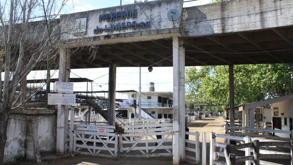 Cierre firme en Mataderos. El Índice Novillo se ubicó en $111,12.