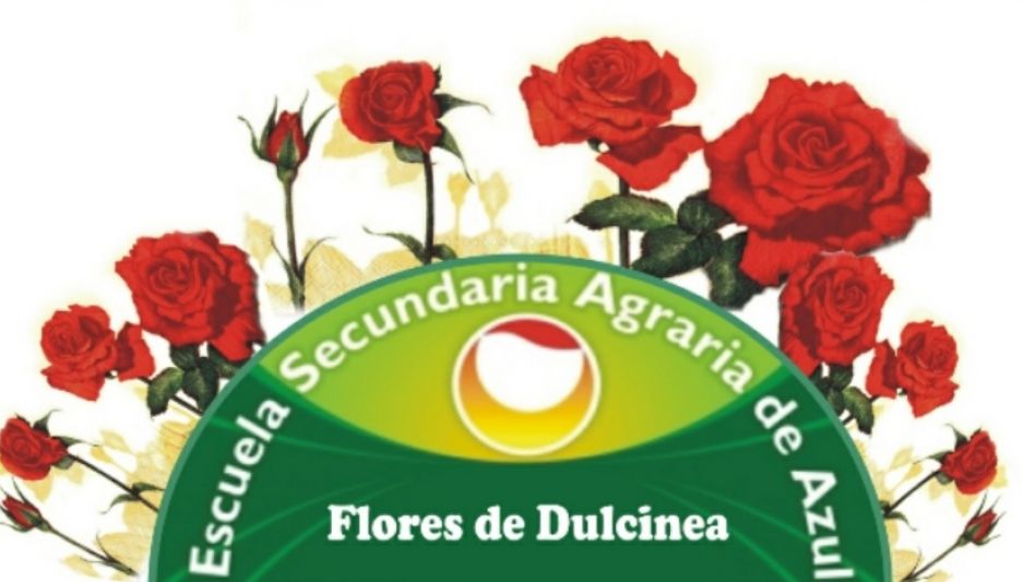 El proyecto "Flores de Dulcinea" presente en el Festival virtual
