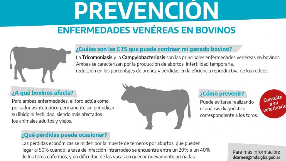 Programa para prevenir ETS en bovinos