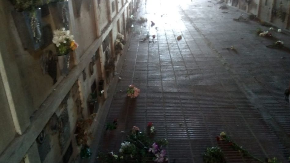 Vandalismo en el Cementerio Municipal