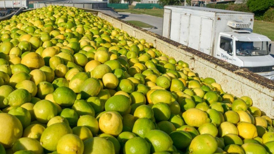 Plantadores y profesionales de la agricultura señalan que la escasez de cítricos será muy notable en el verano,  porque con la falta de humedad las plantas no pudieron mantener un desarrollo normal de