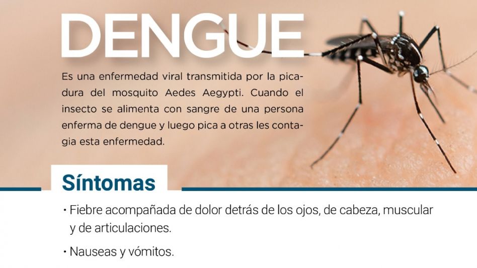 Prevención del dengue