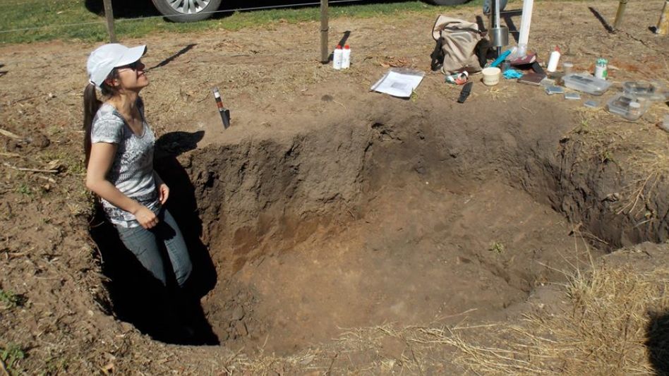 La ingeniera agrónoma Noelia Ramos en pleno trabajo de campo. CORTESÍA NOELIA RAMOS