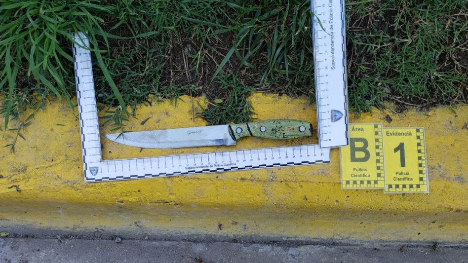 Un cuchillo con una hoja de acero de 18 centímetros de largo, el arma blanca que el agresor utilizó para atacar a los menores. ARCHIVO/EL TIEMPO