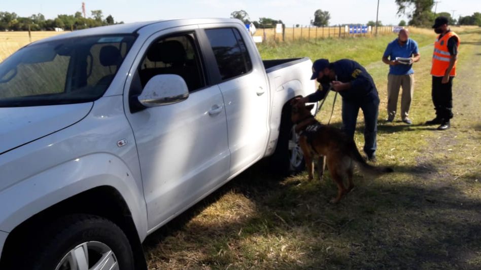 Realizan operativos para prevenir infracciones a las leyes de drogas, tráfico de armas y trata de personas