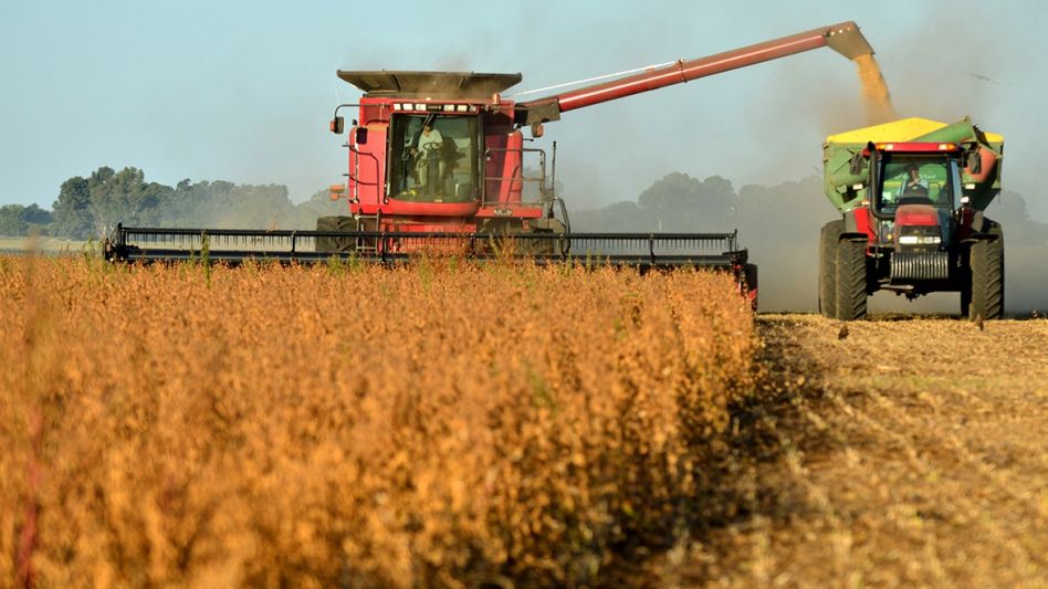 El año que terminó hace pocos días fue un período con muchos altibajos, atravesado por la pandemia.