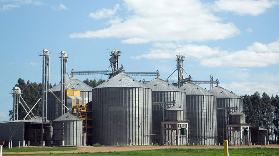 Agroexportadores liquidaron en enero un 32% más de divisas y alcanzaron US$ 2.140 millones