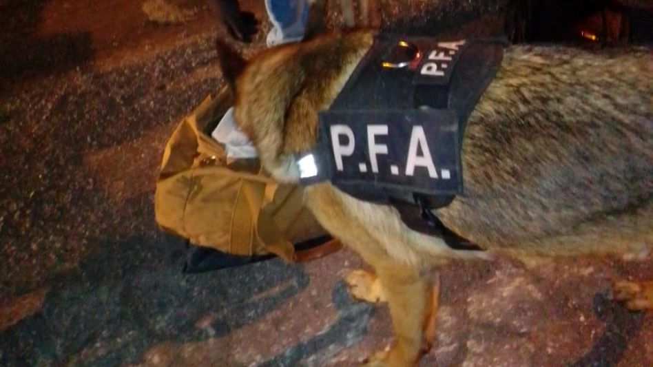 Siguen los operativos en Azul de la Policía Federal